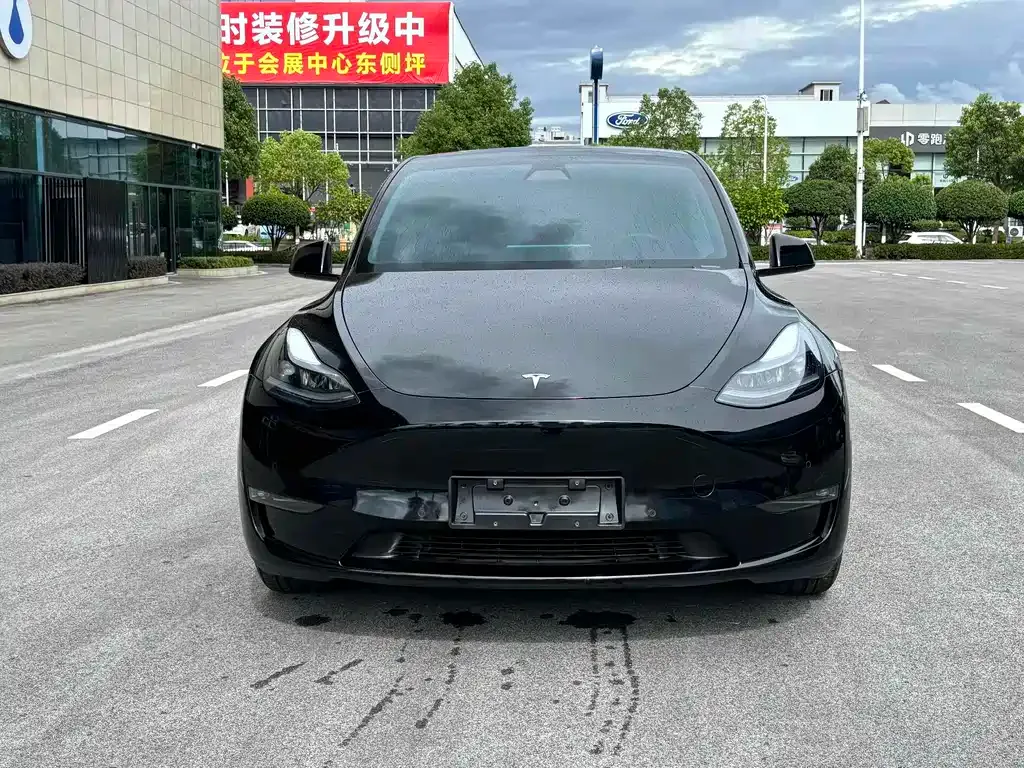 Tesla Model Y — фото 1