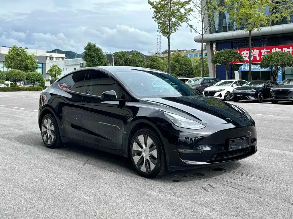 Tesla Model Y — фото 8