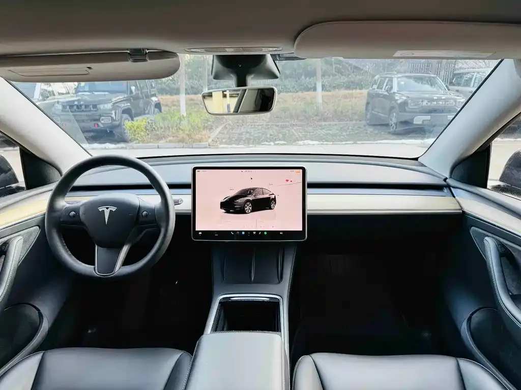 Tesla Model Y — фото 2