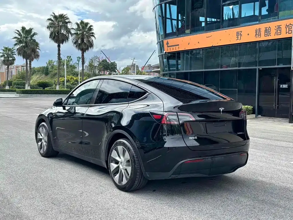 Tesla Model Y — фото 9