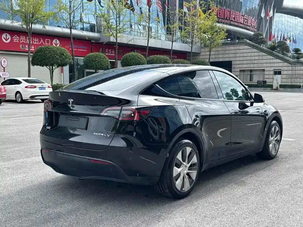 Tesla Model Y — фото 7