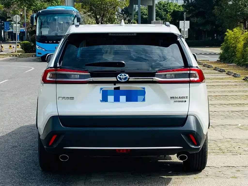Toyota Wildlander 2023 из CN, фото 6
