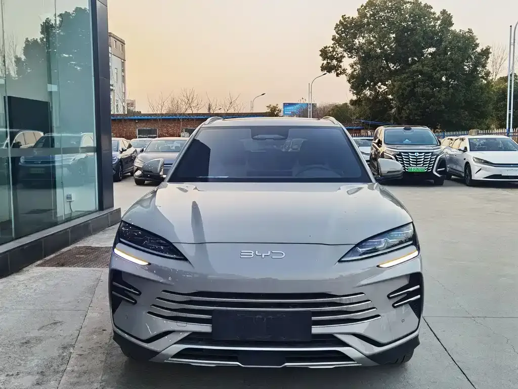 BYD PLUS New Energy — фото 8