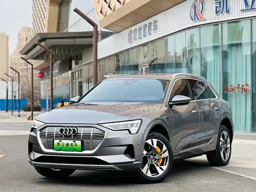 Audi e-tron (Import) 2021 из CN, фото 1
