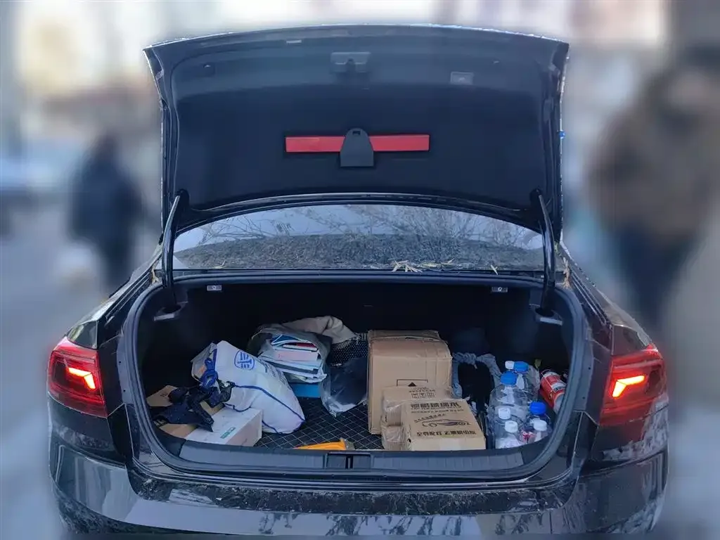 Volkswagen Magotan 2021 из CN, фото 8