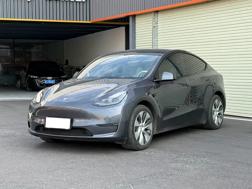Tesla Model Y 2021 из CN, фото 1