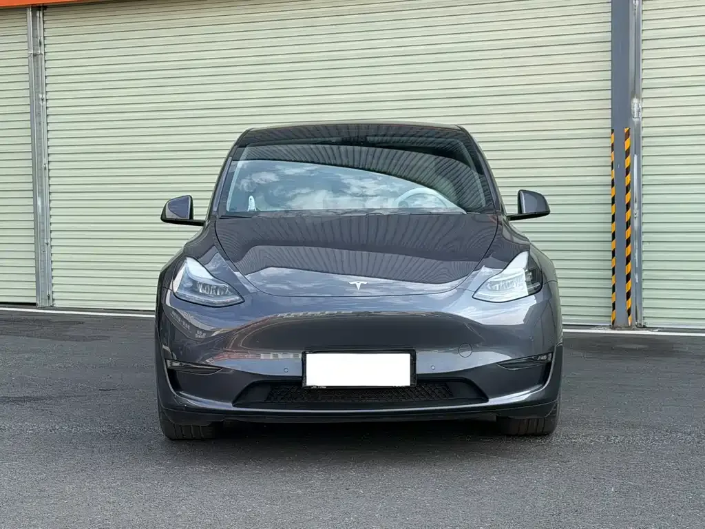 Tesla Model Y 2021 из CN, фото 9