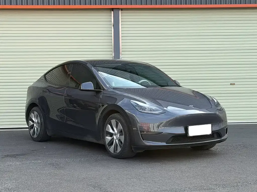 Tesla Model Y 2021 из CN, фото 8