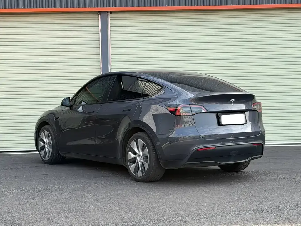 Tesla Model Y 2021 из CN, фото 6