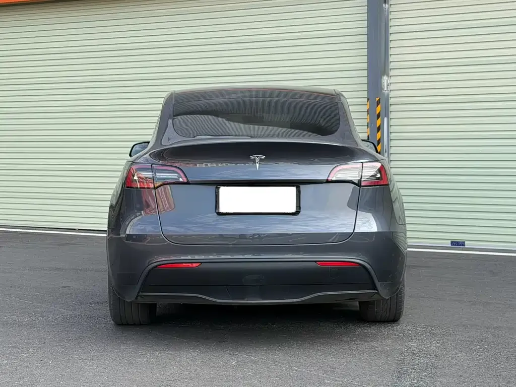 Tesla Model Y 2021 из CN, фото 5