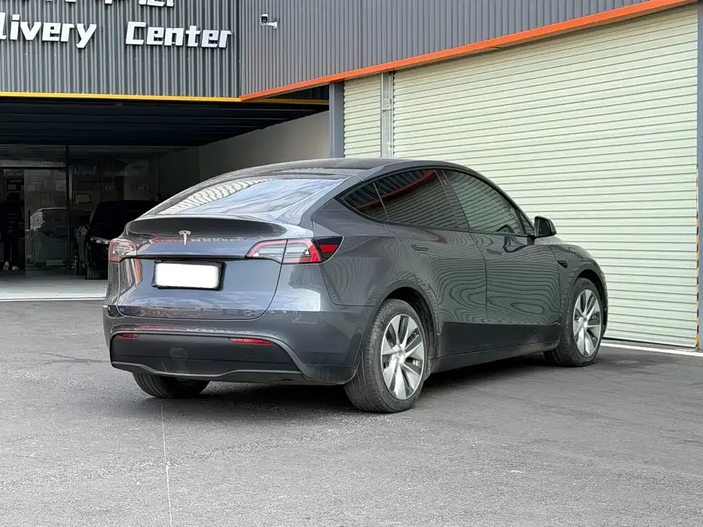 Tesla Model Y 2021 из CN, фото 7