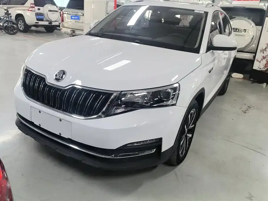 Skoda Kamiq 2023 из CN, фото 6