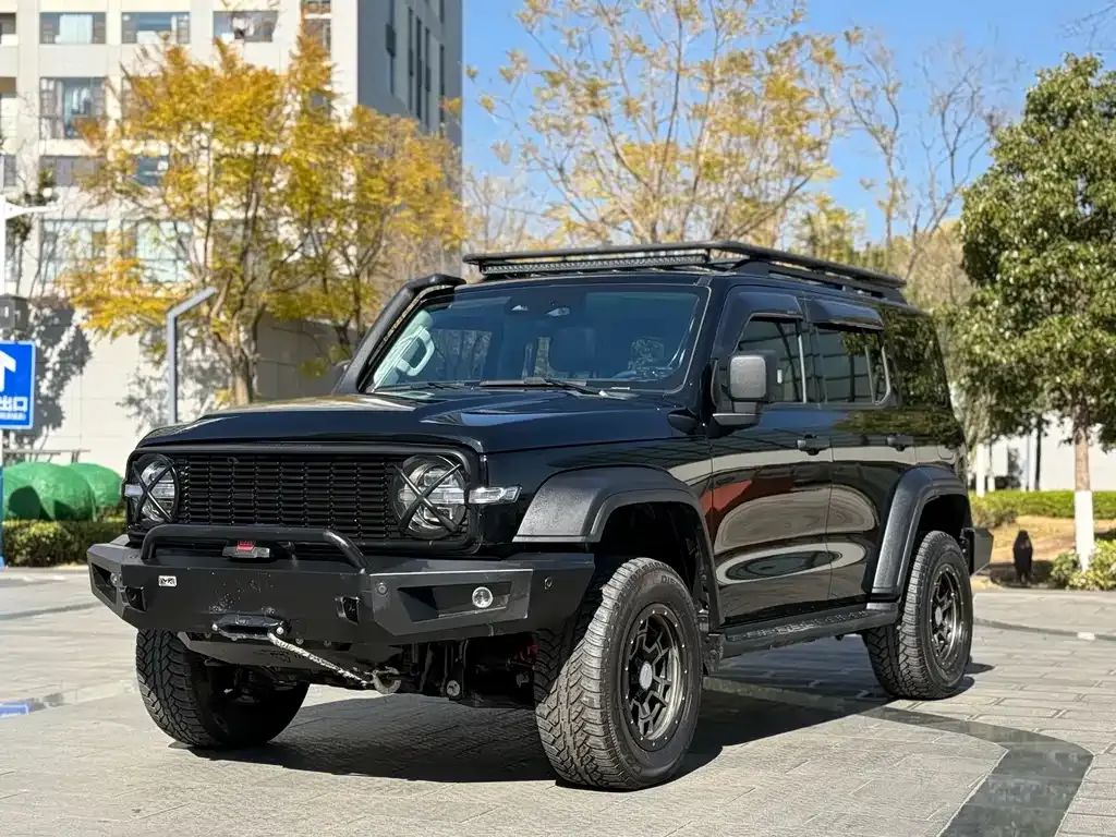 Tank 300 2023 из CN, фото 1