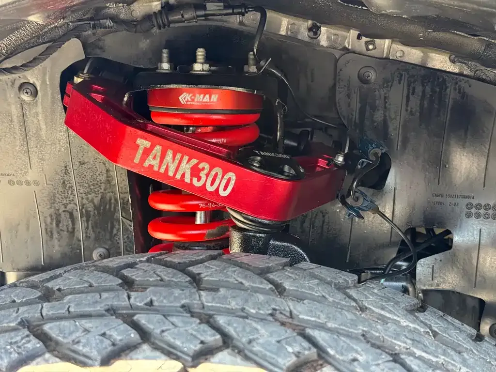 Tank 300 2023 из CN, фото 3