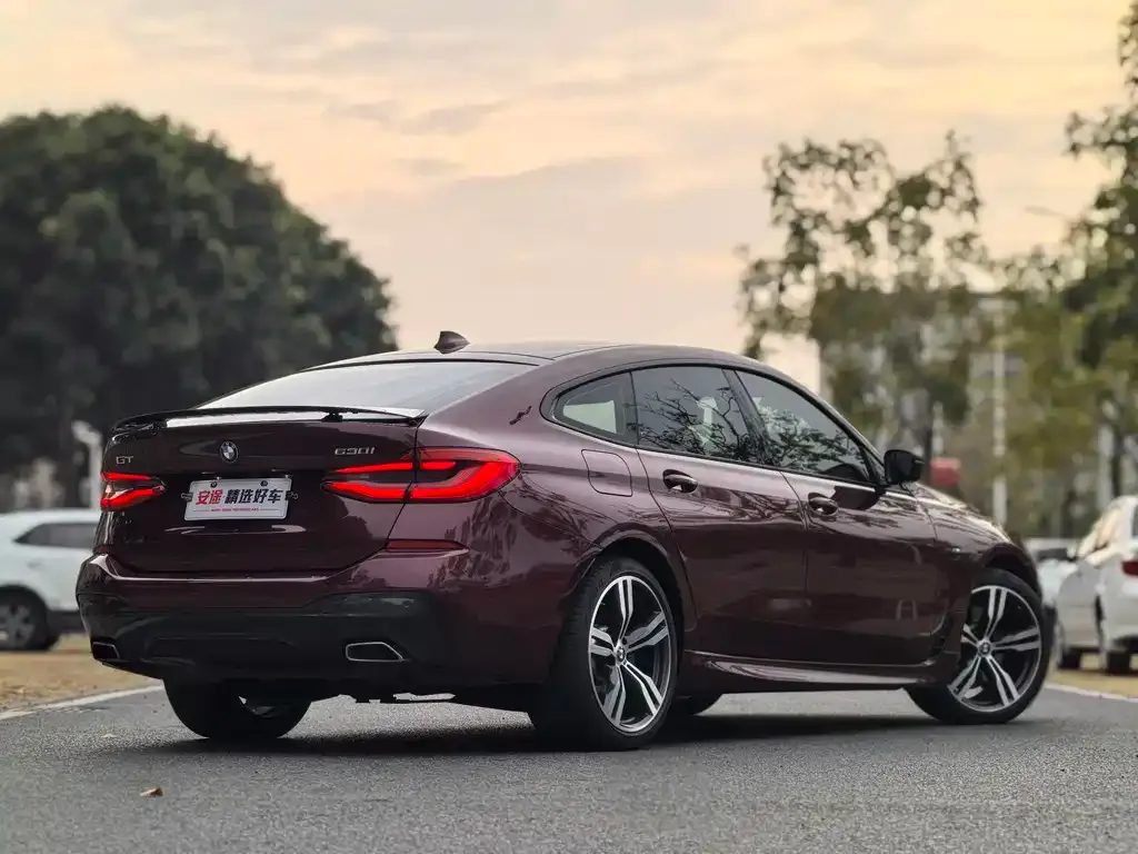 BMW 6 Series GT 2021 из CN, фото 3