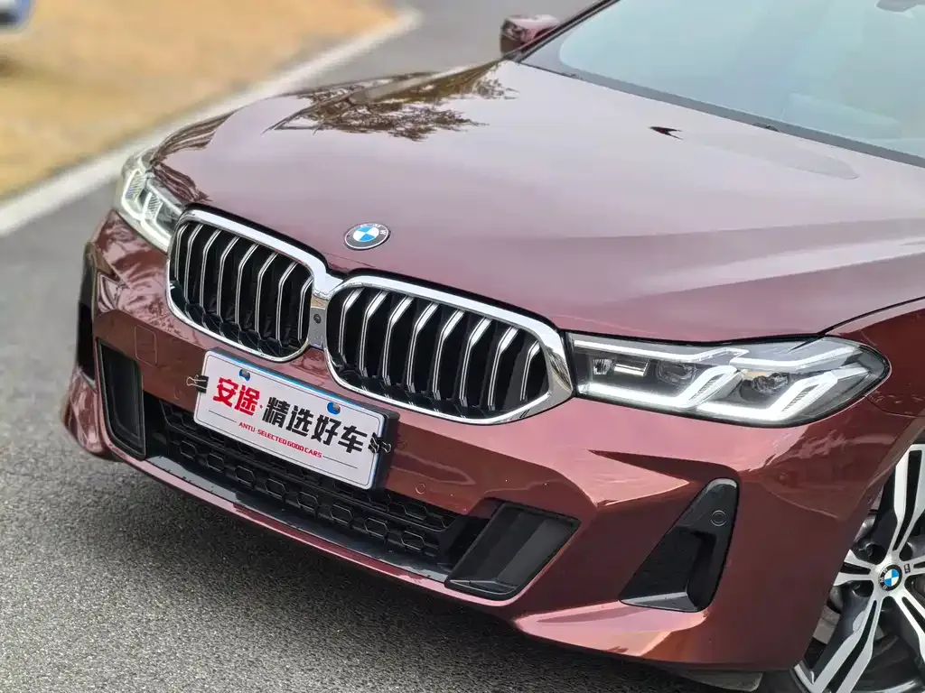 BMW 6 Series GT 2021 из CN, фото 10