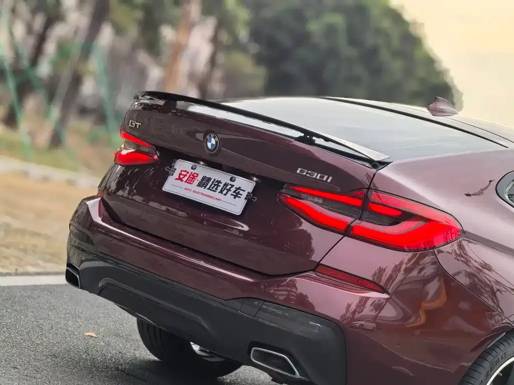 BMW 6 Series GT 2021 из CN, фото 9