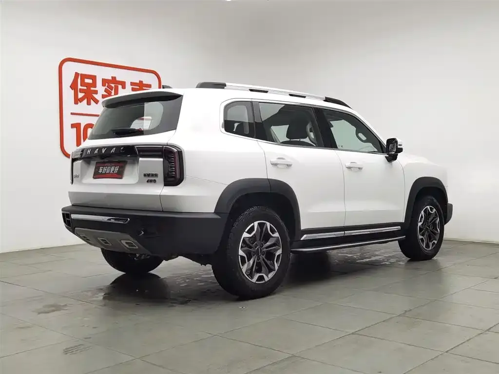 Haval Big Dog 2022 из CN, фото 4