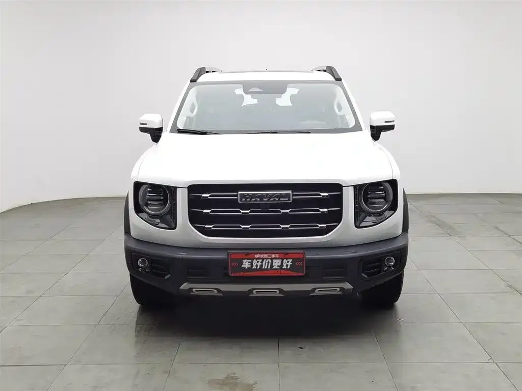 Haval Big Dog 2022 из CN, фото 5
