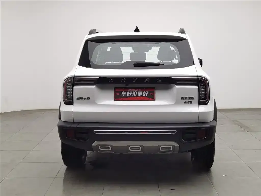 Haval Big Dog 2022 из CN, фото 2