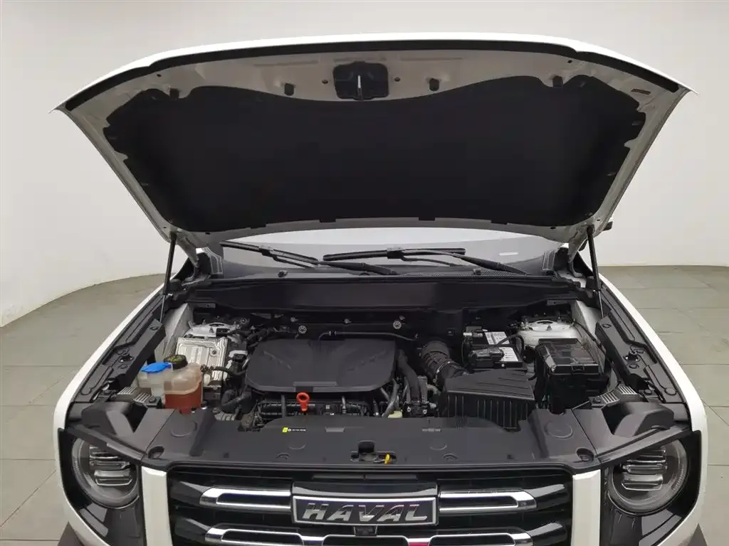 Haval Big Dog 2022 из CN, фото 7