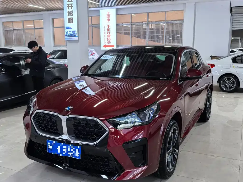 BMW X2 (Import) 2024 из CN, фото 1