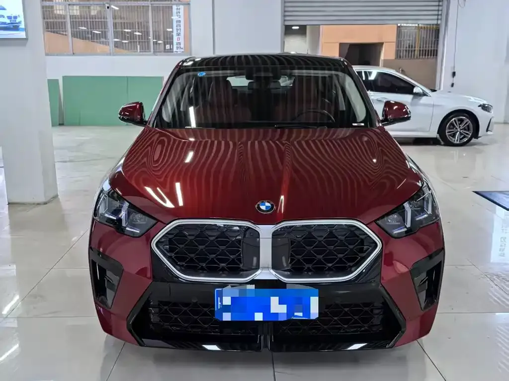 BMW X2 (Import) 2024 из CN, фото 4