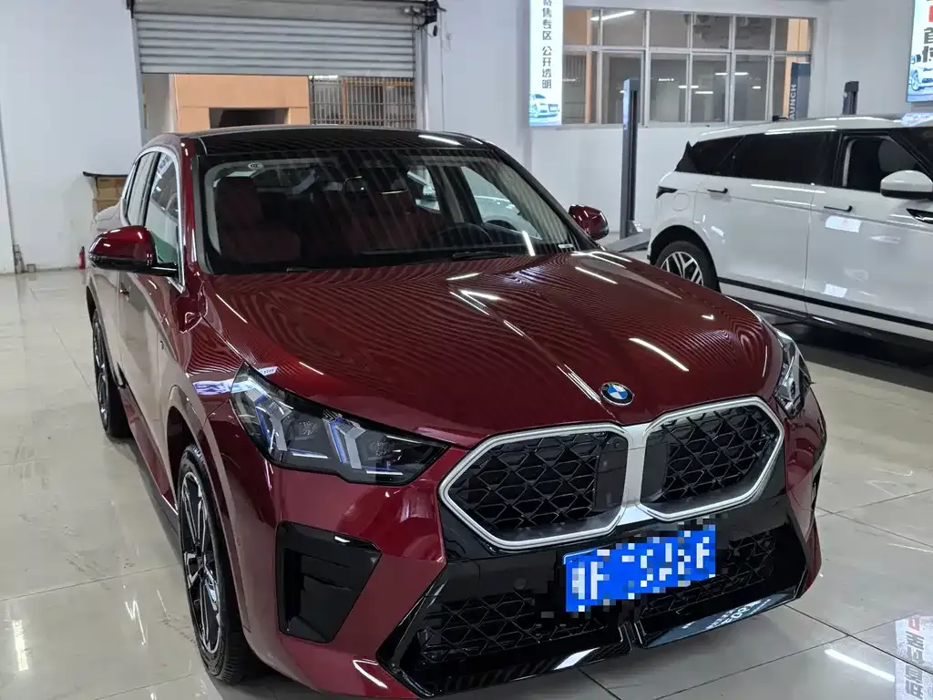 BMW X2 (Import) 2024 из CN, фото 6