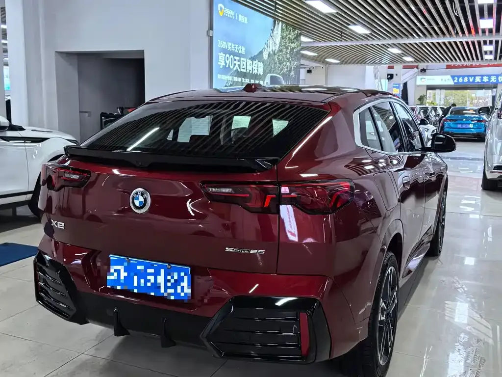 BMW X2 (Import) 2024 из CN, фото 8