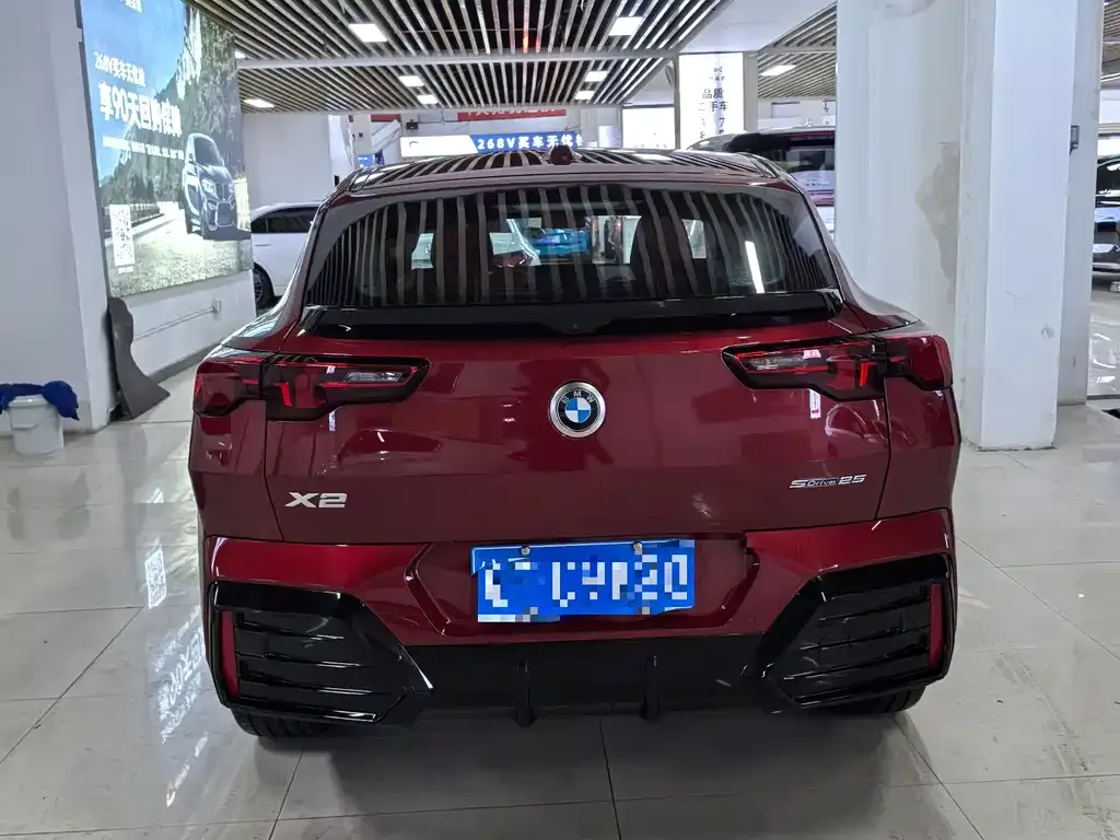 BMW X2 (Import) 2024 из CN, фото 9