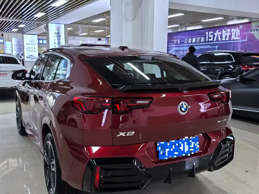 BMW X2 (Import) 2024 из CN, фото 7