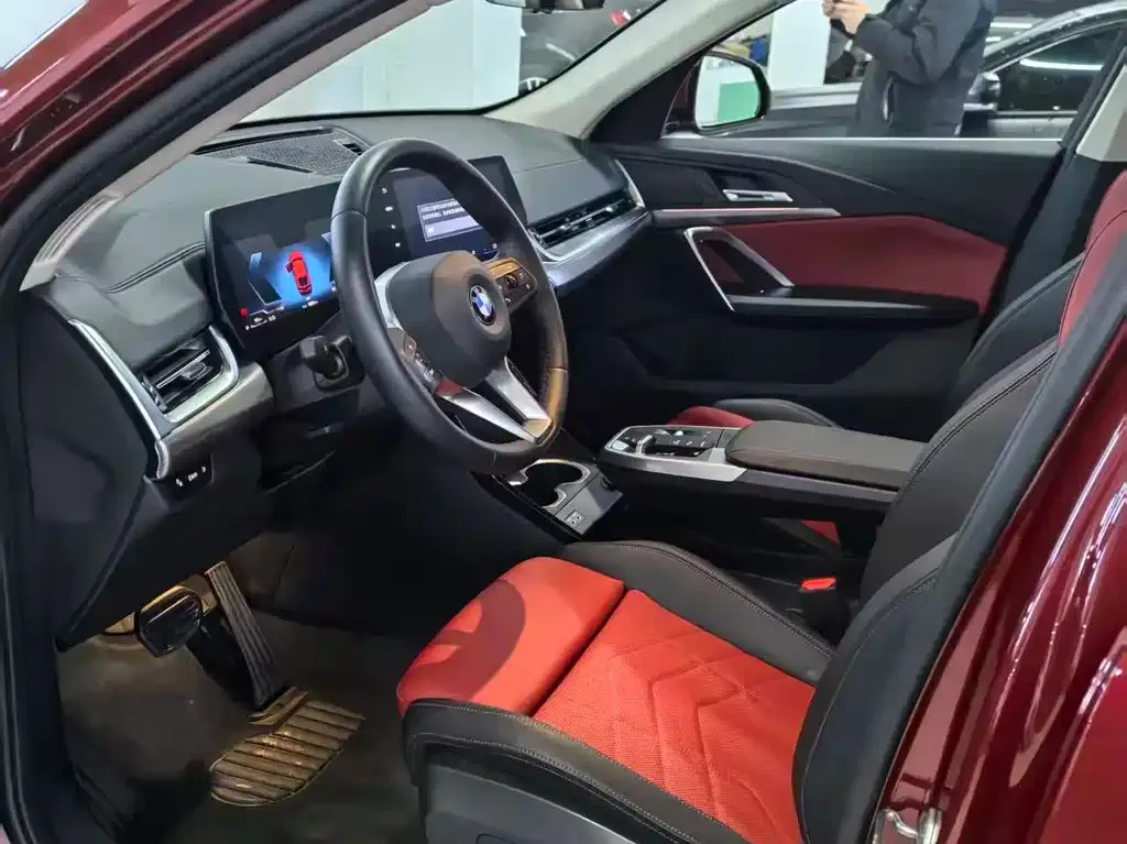 BMW X2 (Import) 2024 из CN, фото 5