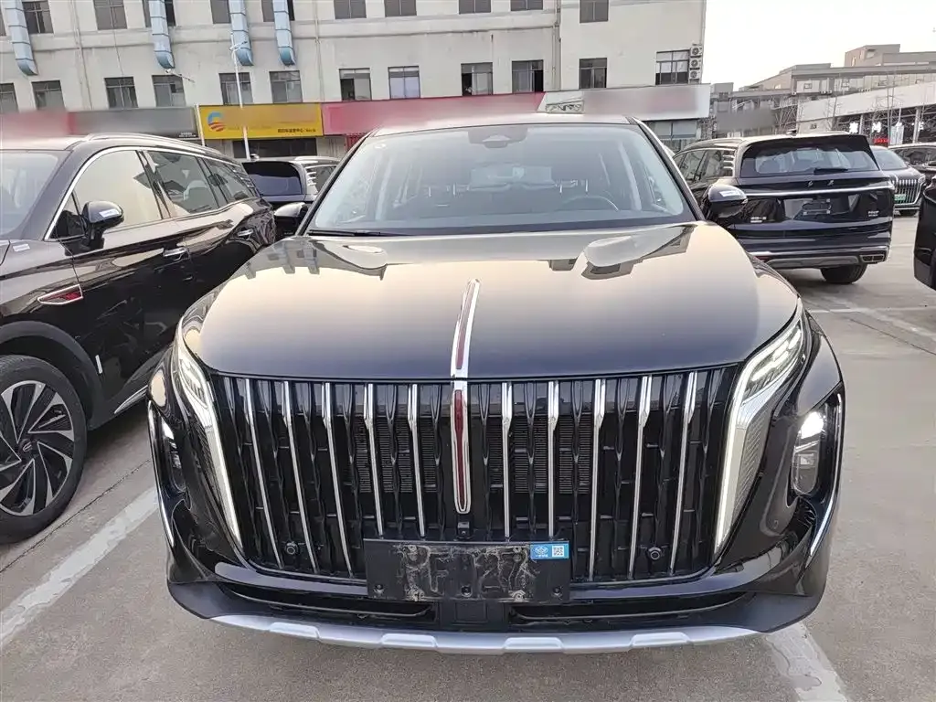 Hongqi HS7 PHEV 2024 из CN, фото 4