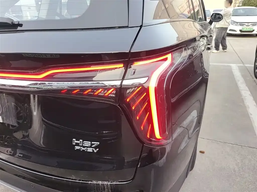 Hongqi HS7 PHEV 2024 из CN, фото 9