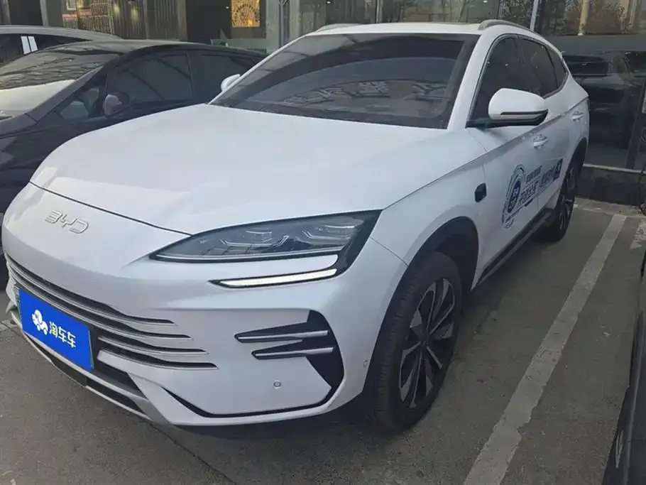 BYD PLUS New Energy 2025 из CN, фото 1