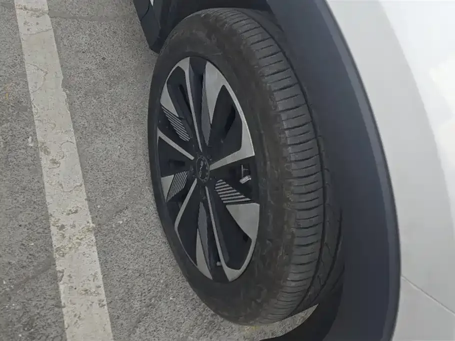 BYD PLUS New Energy 2025 из CN, фото 8