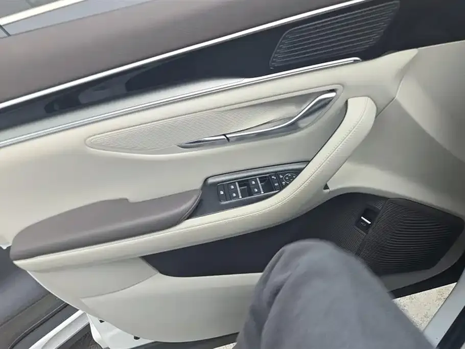 BYD PLUS New Energy 2025 из CN, фото 2