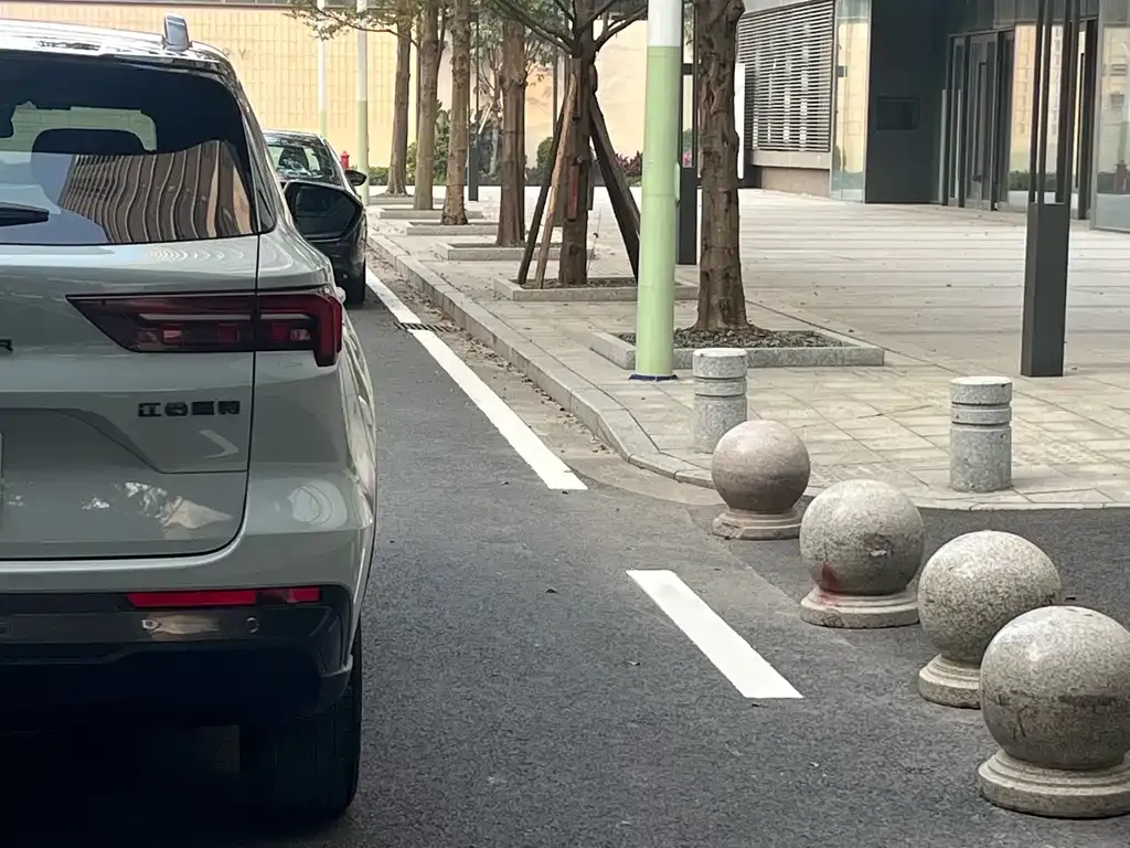 Ford Territory New Energy 2024 из CN, фото 3