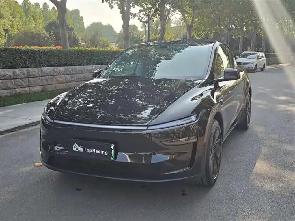 Tesla Model Y 2025 из CN, фото 1