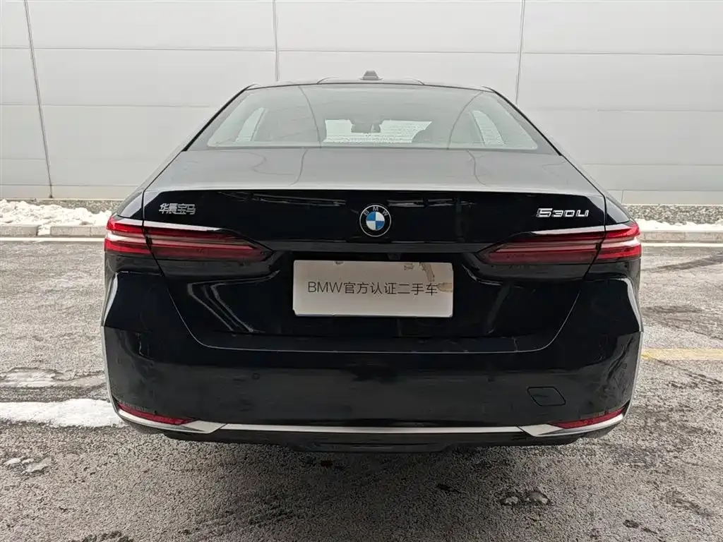 BMW 5 Series 2025 из CN, фото 8