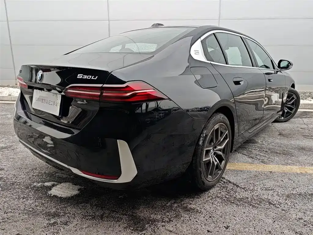BMW 5 Series 2025 из CN, фото 5