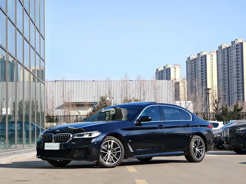 BMW 5 Series 2021 из CN, фото 1