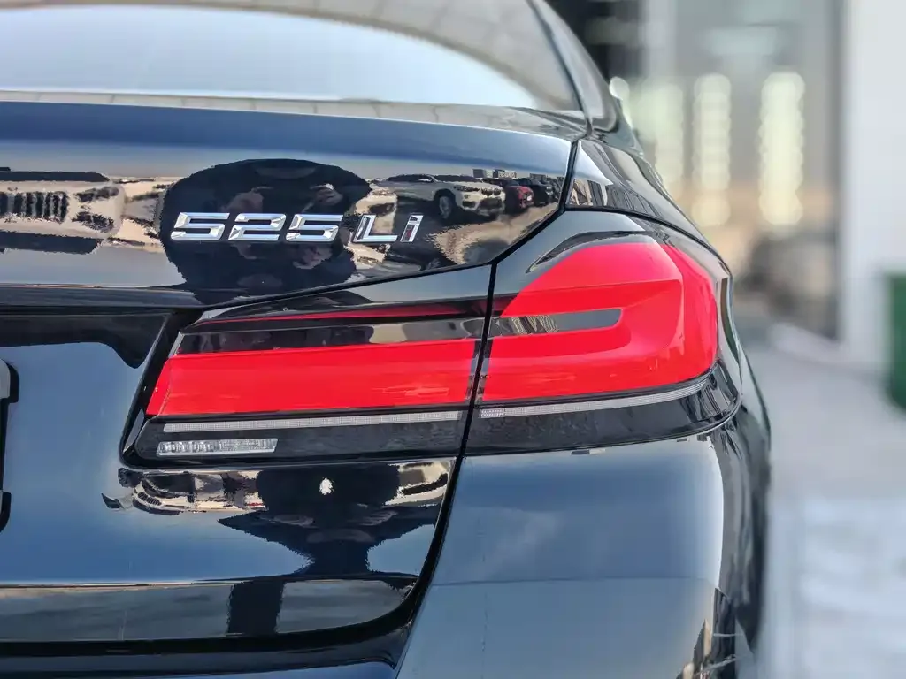 BMW 5 Series 2021 из CN, фото 9