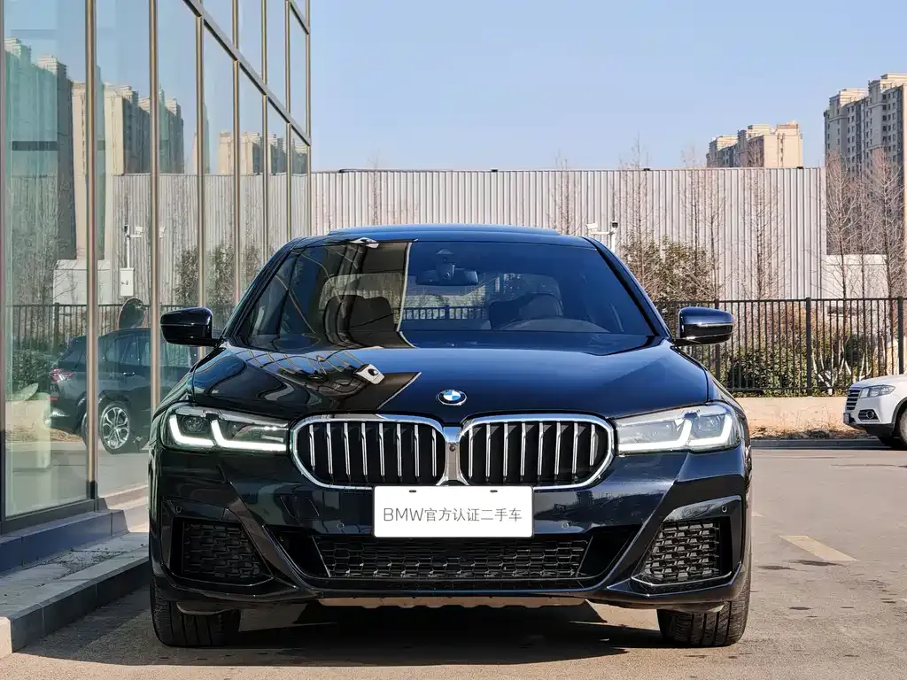 BMW 5 Series 2021 из CN, фото 10