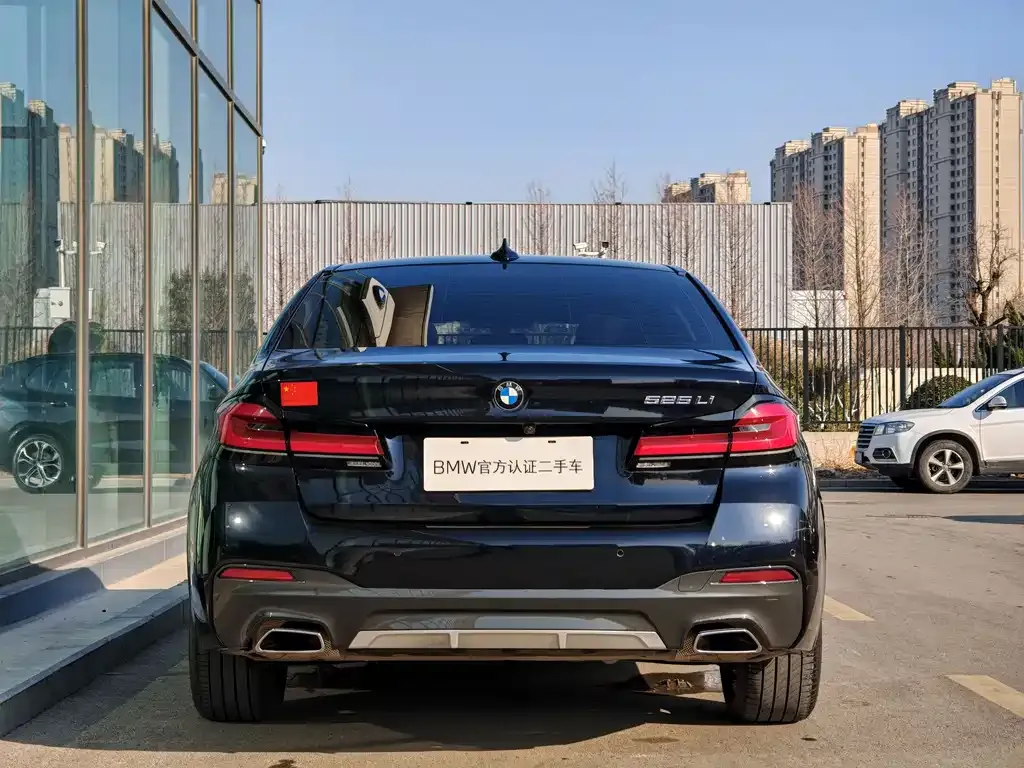 BMW 5 Series 2021 из CN, фото 4