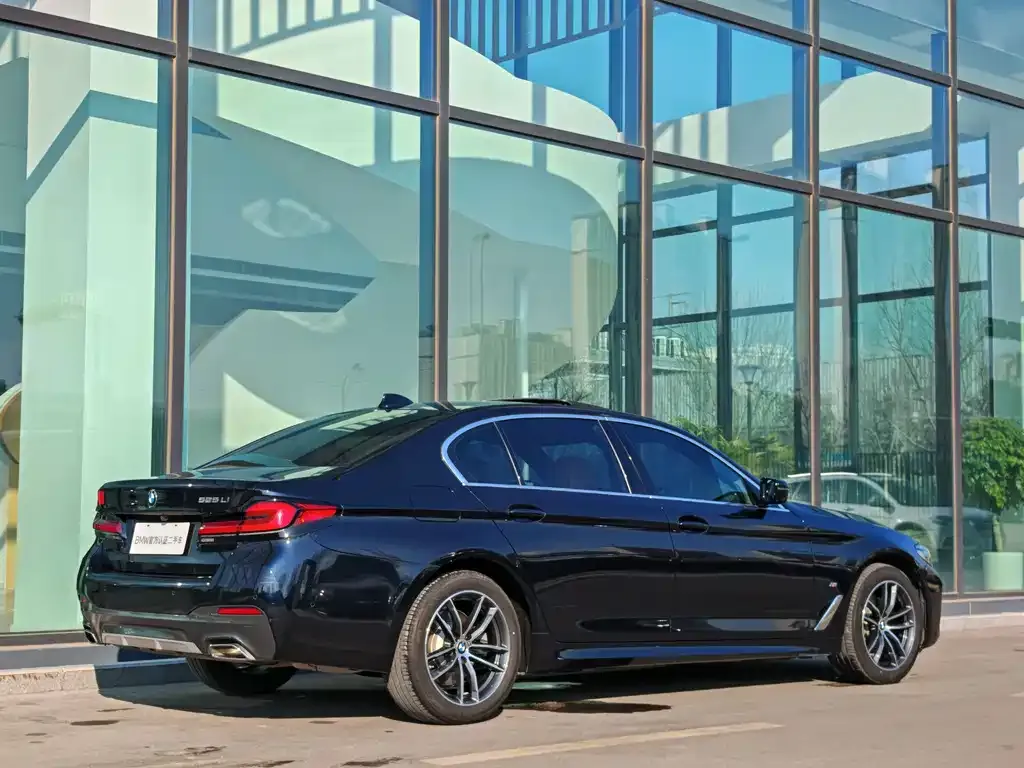 BMW 5 Series 2021 из CN, фото 8