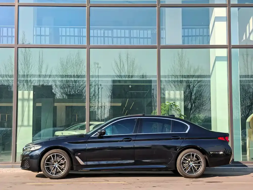 BMW 5 Series 2021 из CN, фото 5