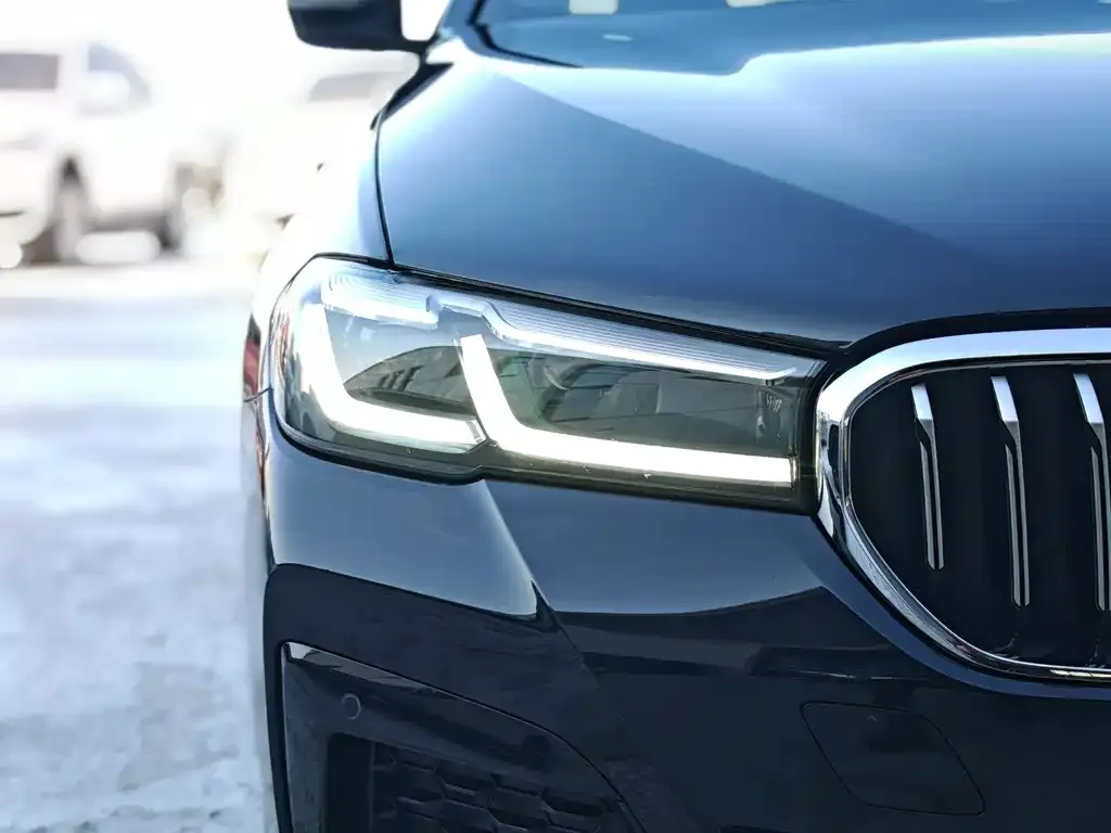 BMW 5 Series 2021 из CN, фото 2