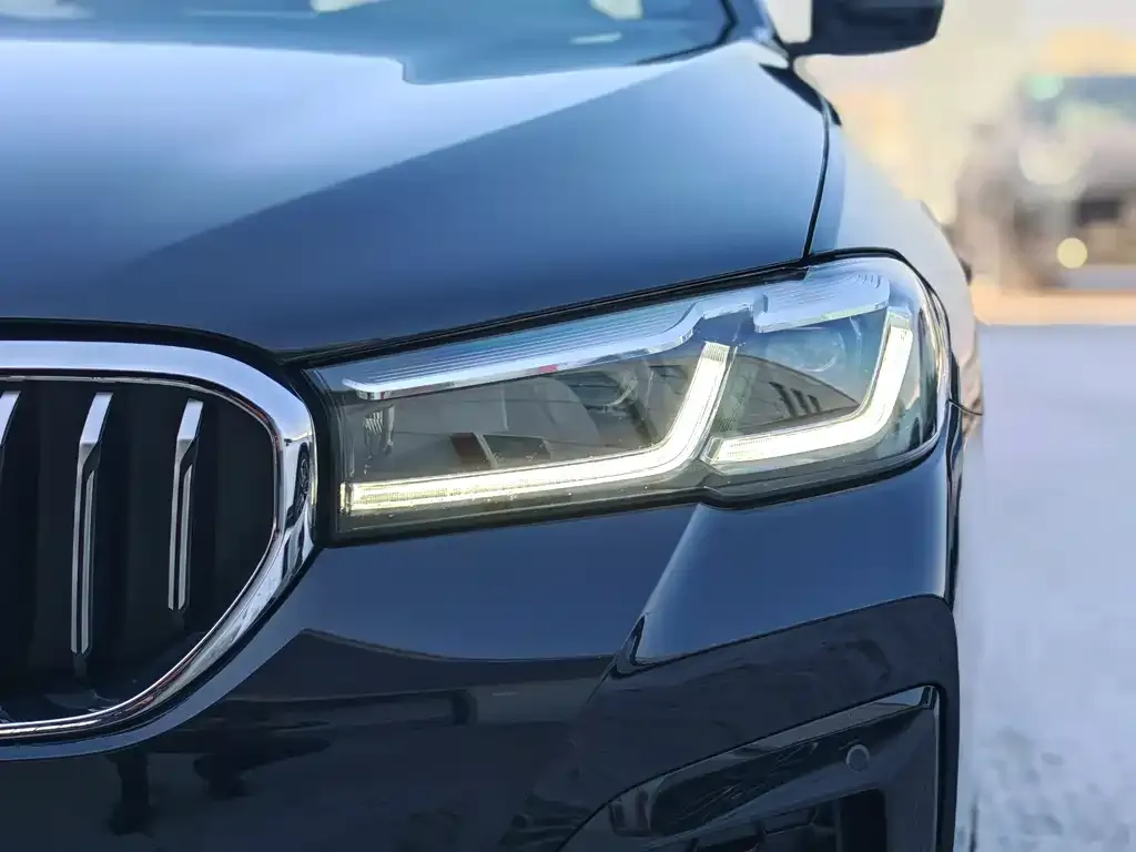 BMW 5 Series 2021 из CN, фото 3