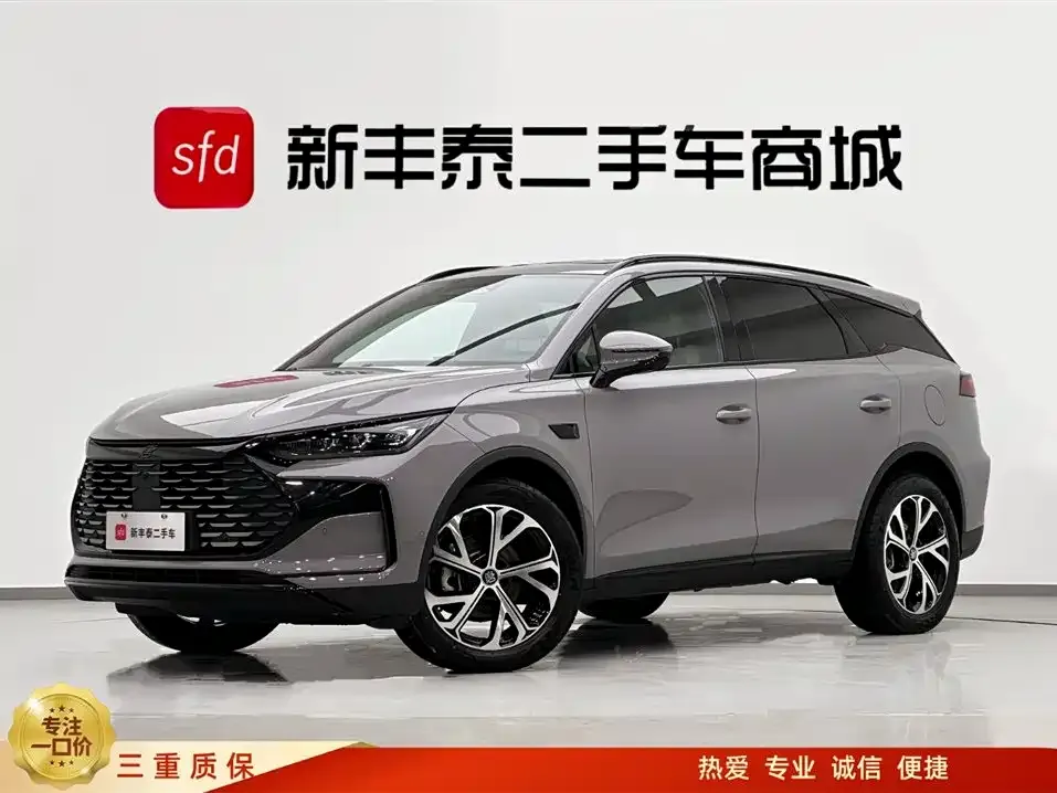 BYD Tang New Energy 2025 из CN, фото 1